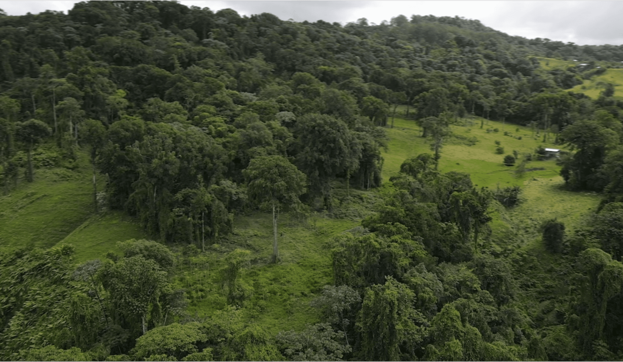 Lake front property in Costa Rica near La Fortuna de san carlos (26)